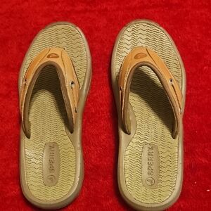 Sperry Tan and Olive Sandals